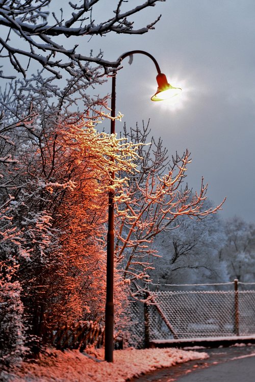 lantern  lamp post  winter