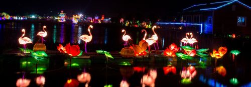 lantern festival night view