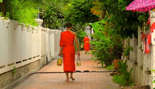 laos luangprabang monk