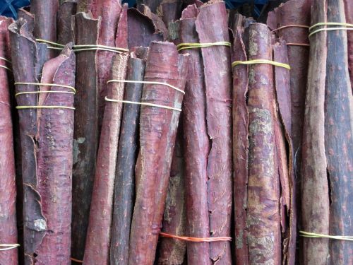 laos market cinnamon