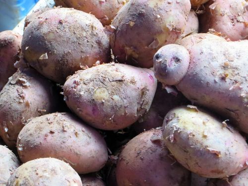 laos market sweet potatoes