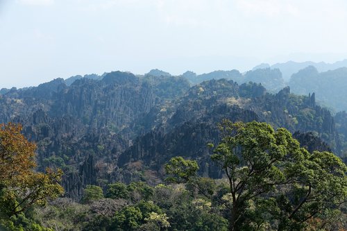 laos  limestone forest  the scenery