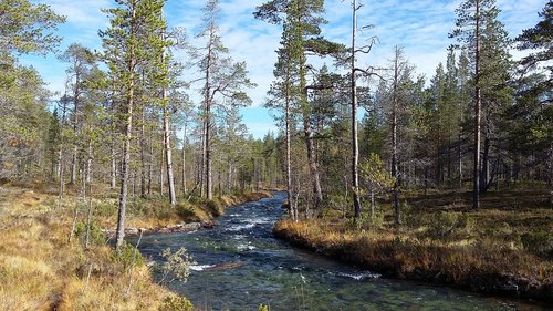 lapland  hiking  landscape