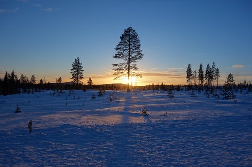 lapland  snow  sunset