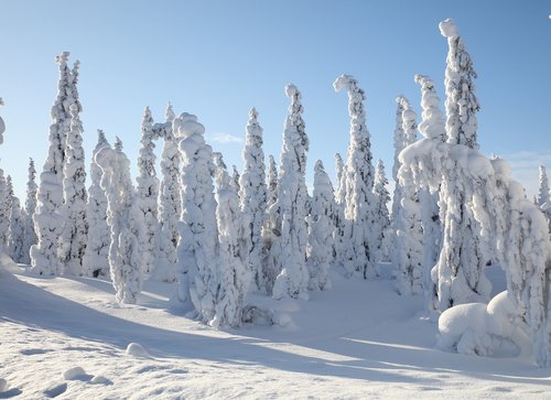 lappand  winter  landscapes