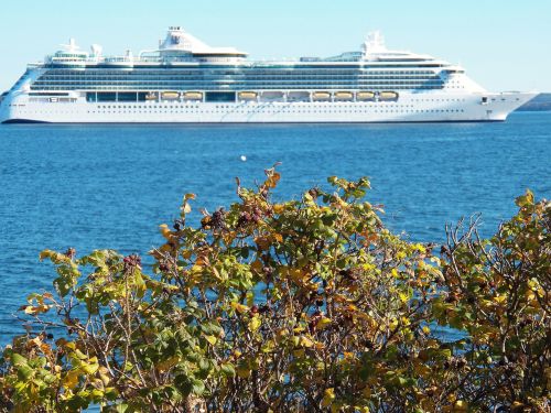 Large Cruise Ship