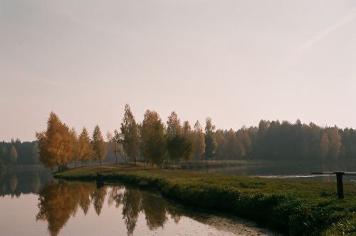 Janowskie Forests