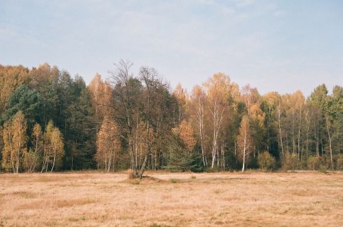 Forests Janowskie, Maliniec