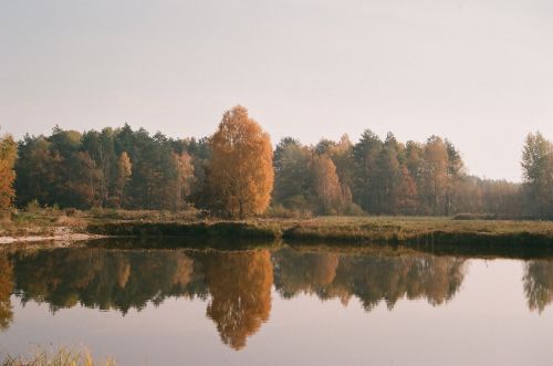 Forests Janowskie, Maliniec