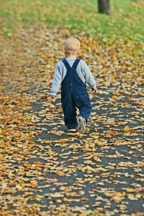 baby park autumn