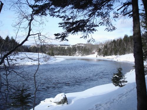 laughed with snow snow with trees landscape with river