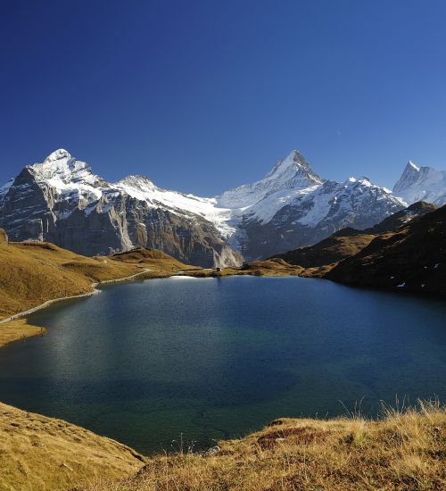 lauteraarhorn bachalpsee wetterhorn