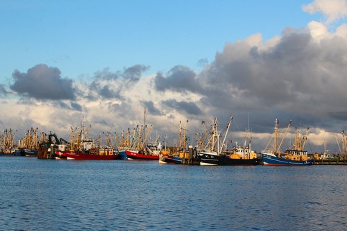lauwersoog  port  ships