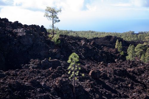 lava lava rock lava fields