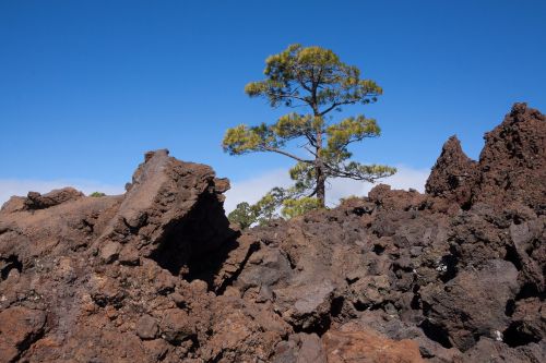 lava lava rock lava fields