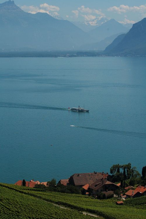 lavaux vaud vineyards