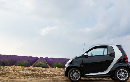 lavender lavender field car