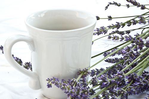 lavender cup tablecloth