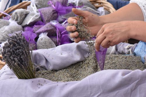 lavender provence france