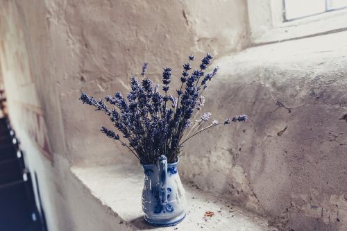 lavender flower vase