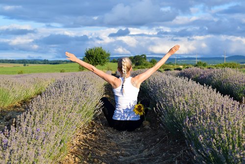 lavender  woman  field