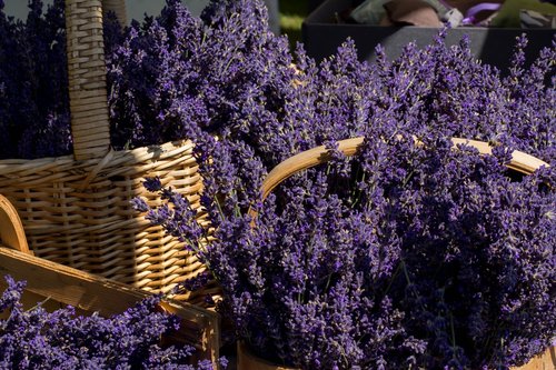 lavender  grass  basket