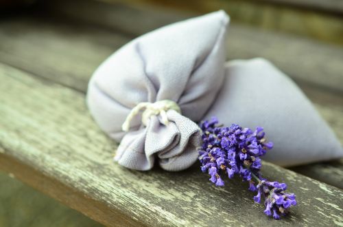 lavender purple tender