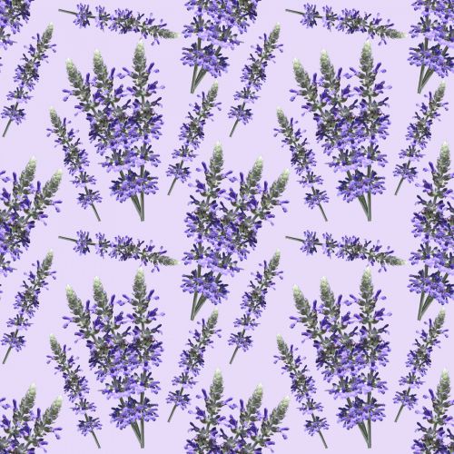 Lavender Flowers Background Pattern