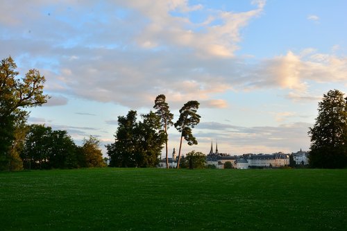lawn  tree  landscape