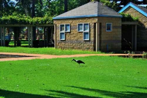Lawn And Building, Park In Pretoria