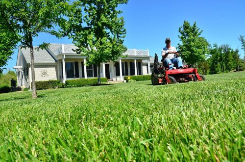 lawn care lawn maintenance lawn services