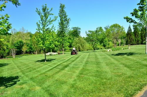 lawn care lawn maintenance lawn services