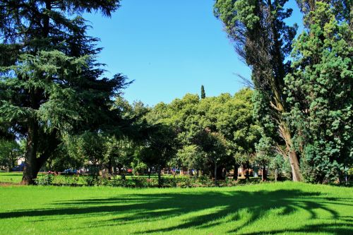 Lawn, Park In Pretoria