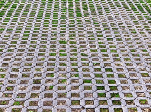 lawn stones  lawn grid  patch