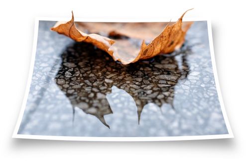 leaf marble rain