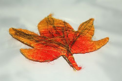 leaf autumn golden autumn