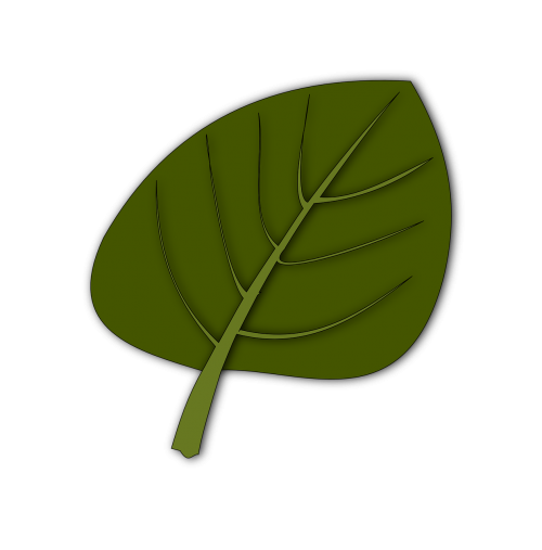 leaf green plant