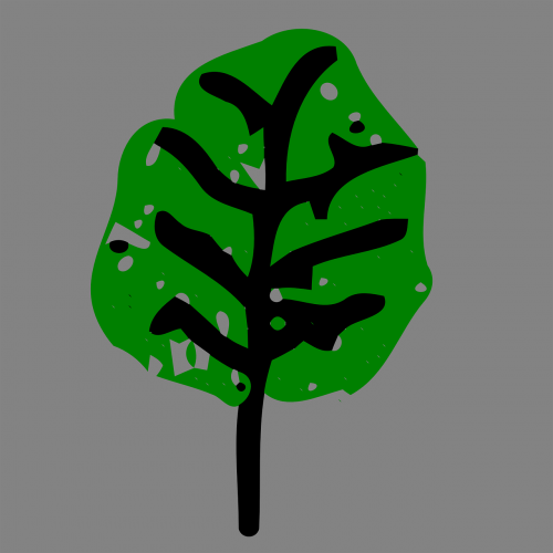 leaf nature plant