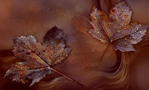 leaf bronze arrangement