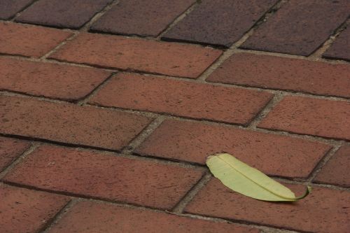 leaf brick floor