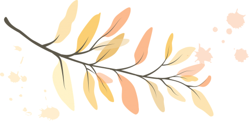 leaf leaves branch