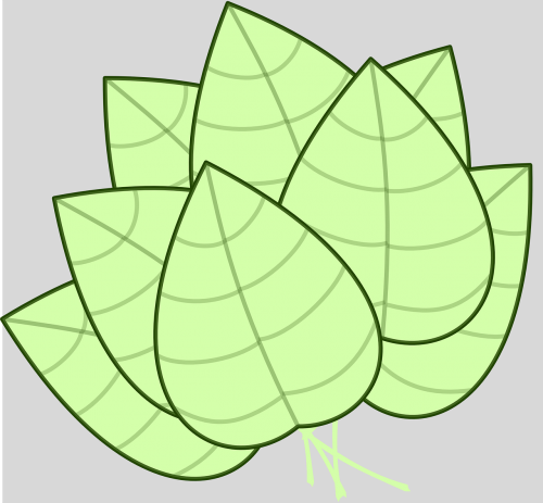 leaf japanese art eco