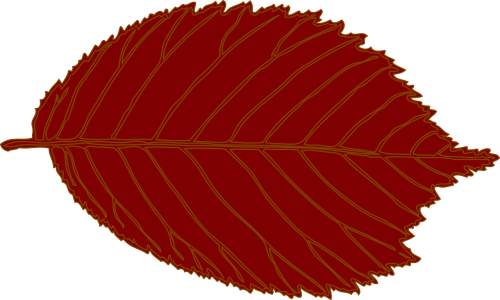 leaf oval hazelnut