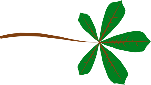 leaf palmate green