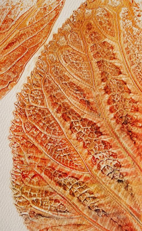 leaf nature painting