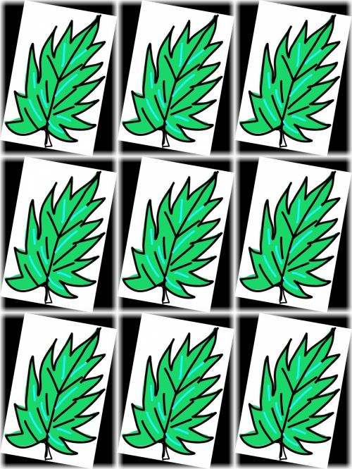 Leaf - Pattern