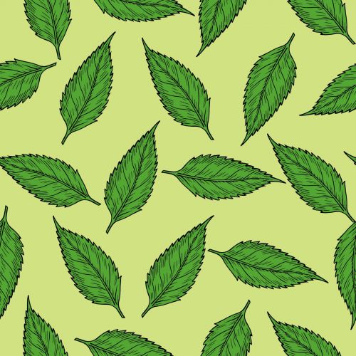 Leaf Pattern