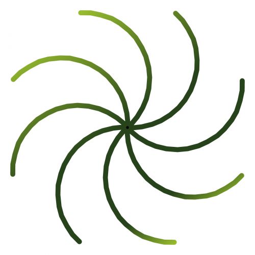Leaf Spiral