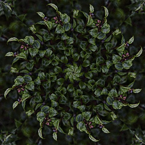 Leaf Wreath Pattern