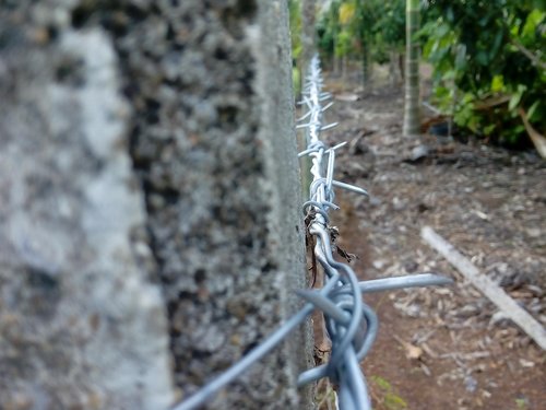 leak  barbed wire